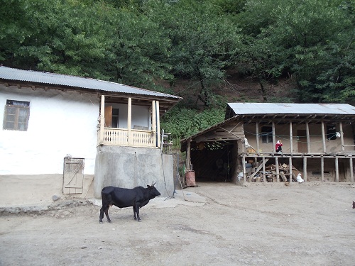 رشته رود گیلان، رشته رود رشت، رشته رود  رودبار، رشته ر ود رستم آباد، رشته رود رستم آباد شمالی، روستای رشته رود رودبار، رشته رود کجاست؟ سفر به رشته رود، مسر ورود به رشته رود گیلان، راه های ورود به رشته رود، جاذبه های دیدنی رشته رود